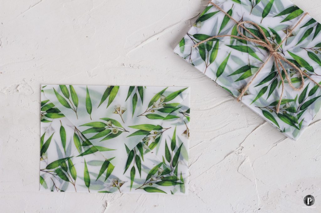 plicuri colorate translucide PAPIRA